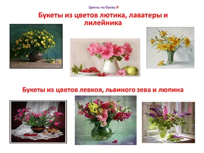 10 луковичных цветов, которые украсят ваш дом - Лайфхакер