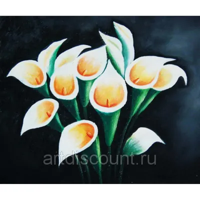 Купить Картина "Белые цветы на черном фоне" холст, масло, 50х60см , цена  1900р.