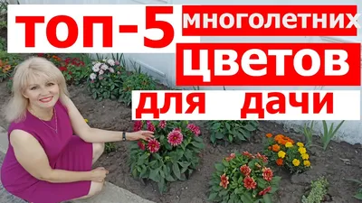 Какие цветы сажать в саду и на даче: однолетние саженцы -  -  