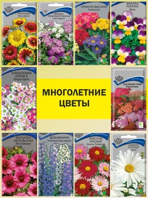 10 многолетников из семян на даче: лунный календарь посадки цветов –  благоприятные и неблагоприятные дни в мае, июне 2022 года