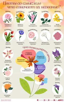 Названия цветов | Beautiful rose flowers, Rose varieties, Cut flower farm