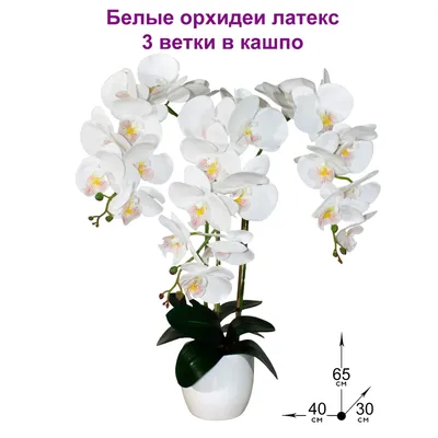 Искусственные цветы с горшком Орхидея, для дома купить по низким ценам в  интернет-магазине Uzum (805864)