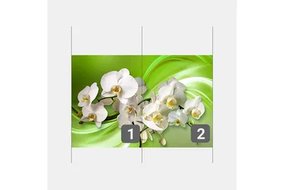 Цветы орхидеи картинки - 64 фото