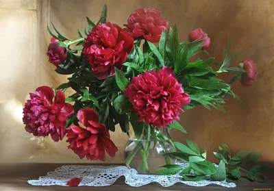Обои Цветы, Букет, Пионы картинки на рабочий стол, раздел цветы - скачать
