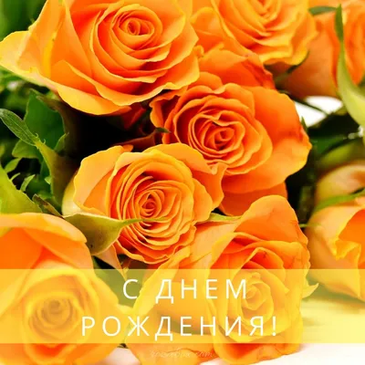 Шикарные цветы картинки с днем рождения - 66 фото