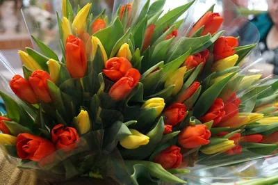 Какие цветы уместно подарить женщинам разных возрастов — ликбез к 8 Марта -  , Sputnik Узбекистан