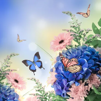Цветы с бабочками картинки