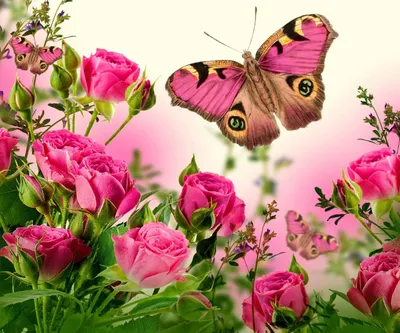 Картинки красивые с природой и цветами и бабочками (68 фото) » Картинки и  статусы про окружающий мир вокруг