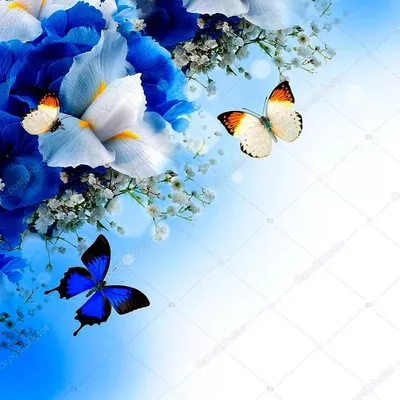 Цветы-бабочки | Пикабу