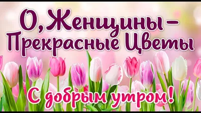 🌷🌷🌷 ЖЕНЩИНЫ-ЦВЕТЫ! С ДОБРЫМ УТРОМ! Красивый стих о красоте женщин! -  YouTube