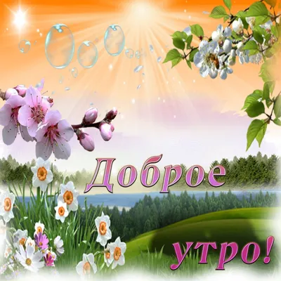 🌷НАТАЛИ🌷 on Twitter: "@veskii4571 Доброе утро, моя Алиночка! 😊 Удачи и  хорошего настроения!💐 Пусть все задуманное получится!🍋  /rXGhgJ4QG8" / Twitter