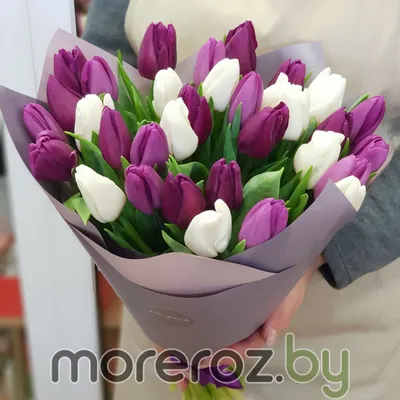 Продавцы тюльпанов: в следующем году цены на цветы могут вырасти втрое -  , Sputnik Беларусь