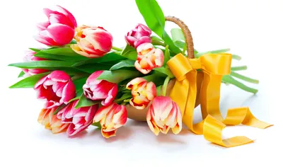 Скачать обои весна, желтые, Тюльпаны, розовые, 8 марта, раздел цветы в  разрешении 4000x3000