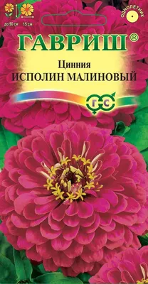 Семена Цветы, Цинния, Исполин пурпурный, 0.3 г, цветная упаковка, Гавриш в  Шахтах: цены, фото, отзывы - купить в интернет-магазине Порядок.ру