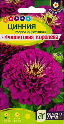 Семена цветов Циния георгиновидная "Дыхание осени", 0,3 г купить по цене 59  ₽ в интернет-магазине KazanExpress