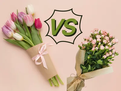 Реклама цветочного магазина во «ВКонтакте» 2023. Пошаговое руководство. |  Продвижение цветочного бизнеса • SMM Rosetta | Дзен