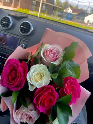 розы #цветы в машине #цветы на заднем сидении #розы #сиреневые розы | Розы,  Букеты фотографии, Цветы