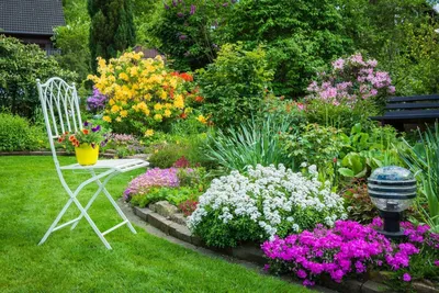 20 растений с большими цветками – яркие акценты для вашего сада | Дизайн  участка (Огород.ru)