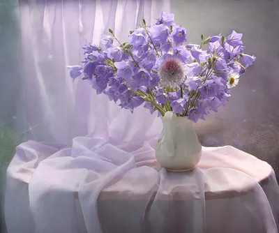 Обои для рабочего стола фиолетовая Цветы Колокольчики - Цветы вазе
