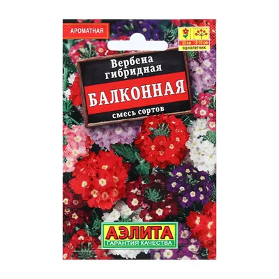 Цветы Вербена Идеал гибридная/Сем Алт/цп 0,1гр. (2026 / 22387) — купить в  городе Омск, цена, фото — ООО «ГалаОпт»