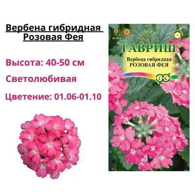 Букет Вербена - купить с доставкой по Москве и области.