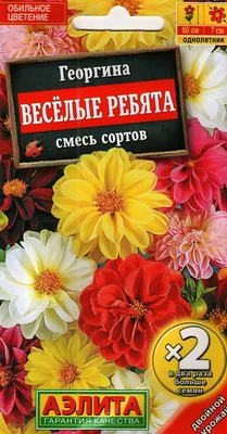 Георгина Веселые ребята (семена,цветы) купить по цене 62.1 ₽ в  интернет-магазине KazanExpress