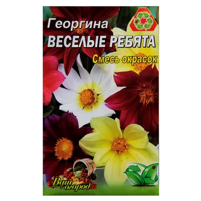 Георгина "Веселые ребята" ТМ "Весна" 0.2г купить почтой в Одессе, Киеве,  Украине | Agro-Market