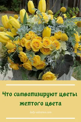 Желтые цветы: что означают, кому можно дарить | Полезные статьи от  Julia-Flower