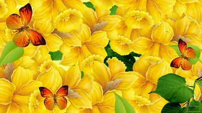 Многолетние цветы с желтыми цветами | Любимая усадьба | Дзен
