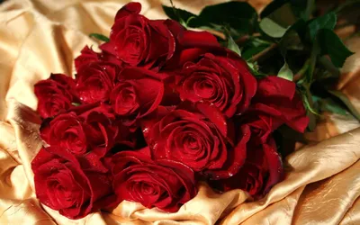 Букеты жене – купить цветы для жены | Доставка букетов и цветов в  Череповце, салон ЦветОК