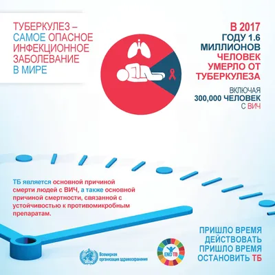 Мы против туберкулёза» » Центр лечебной педагогики и дифференцированного  обучения г. Пскова