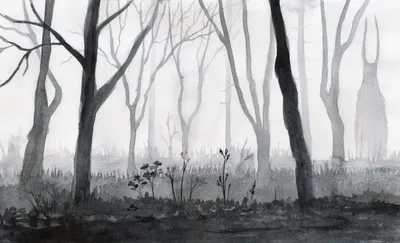 Фотообои Туманный лес утром Nru33150 купить на заказ в интернет-магазине