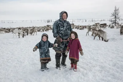 Из тундры – в Петербург. Город помогает сохранить культуру народов Севера |  ОБЩЕСТВО | АиФ Санкт-Петербург