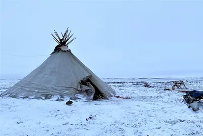 Как одеваются оленеводы зимой так, что не мёрзнут даже в -50 °С, и как они  живут посреди тундры | Путешествия с фотокамерой | Дзен