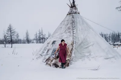 Как одеваются оленеводы зимой так, что не мёрзнут даже в -50 °С, и как они  живут посреди тундры | Путешествия с фотокамерой | Дзен