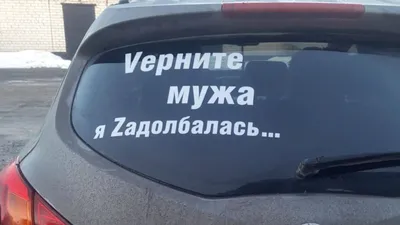 Тупые фото на аву - скачать бесплатно