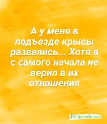 Тебя окружают на работе тупые люди, потому что умные давно нашли способ не  ходить на работу / умный :: окружение :: тупой :: работа / смешные картинки  и другие приколы: комиксы, гиф