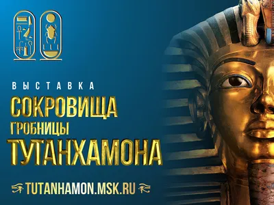 100 лет назад: Археологи обнаружили гробницу египетского фараона Тутанхамона  - World Socialist Web Site