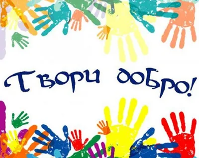 Акция помощи животным "Твори добро" продолжается в Сыктывкаре | Комиинформ