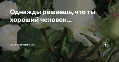 Однажды решаешь, что ты хороший человек… | Жизнь в моментах. | Дзен