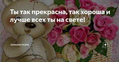 Пин от пользователя Оленька на доске Веселые картинки | Собачьи лапы, Милые  котики, Кошачьи