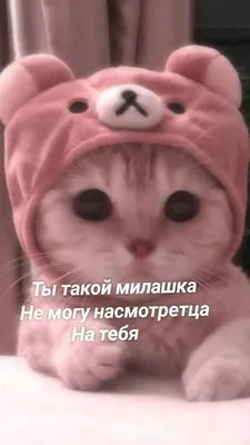 ты милашка | TikTok