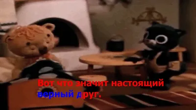 Юмор за день и настоящий друг | Mixnews