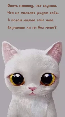 Пин от пользователя galkina_di на доске Мем | Милые котики, Мемы, Котята