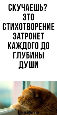 Скучаю по тебе или скучаю без тебя, как правильно? | Разбитная разведенка |  Дзен