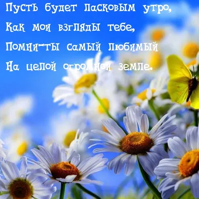 Картинки с надписью - Пусть будет ласковым утро, помни-ты самый любимый .