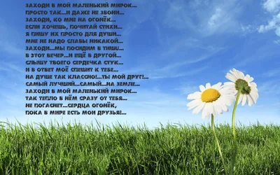 Николай Пестряков - Я вас не призываю быть одиночками, но тем не менее дам  вам такой совет. ⠀ ⠀ Самый лучший друг в твоей жизни - это ты сам. ⠀ ⠀ Твой