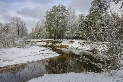 У природы нет плохой погоды. Фотограф Александр Березуцкий