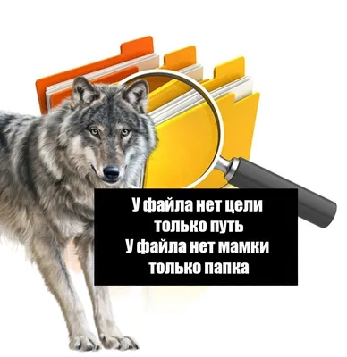 Елиджан Д @81уа1ет у самурая нет цели только путь / пиво :: твит :: надпись  :: бухло :: интернет / смешные картинки и другие приколы: комиксы, гиф  анимация, видео, лучший интеллектуальный юмор.