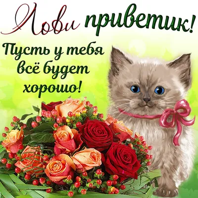 Это тебе! 🌹🌹🌹 Просто так! 🌹🌹🌹 Пусть у тебя все будет хорошо!😊 -  YouTube